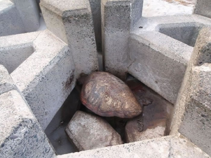 �к���Ŭ������������������ʯ������������˺ۡ�