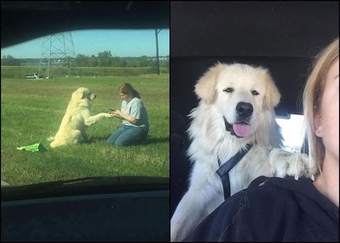 ���幤֮�󵽳���������ֻ������