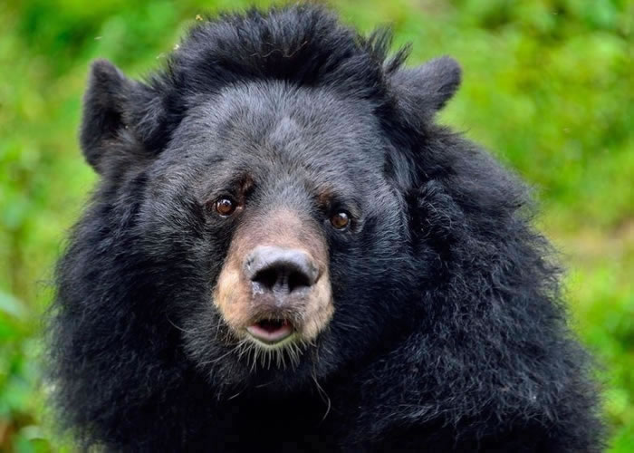 ����¶��һ���޹��ֿɰ���ģ�������߱�ԭ��ֻΪ������������������