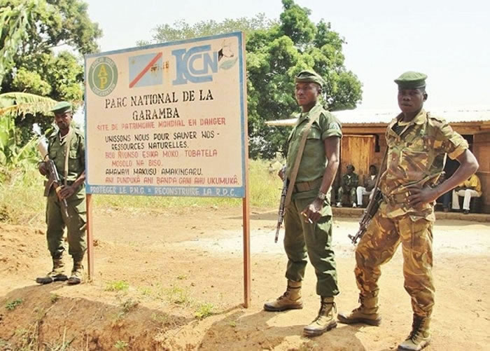 公园巡逻员冒生命危险保护大象