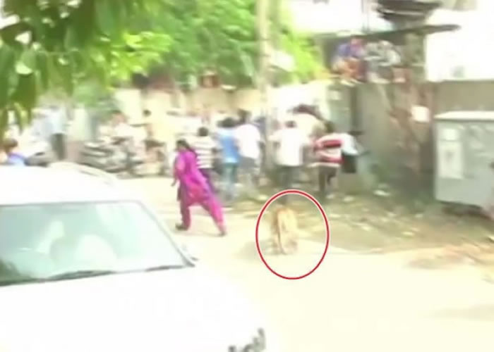 ��������Ȧʾ����·�Ϻ��ֱײ