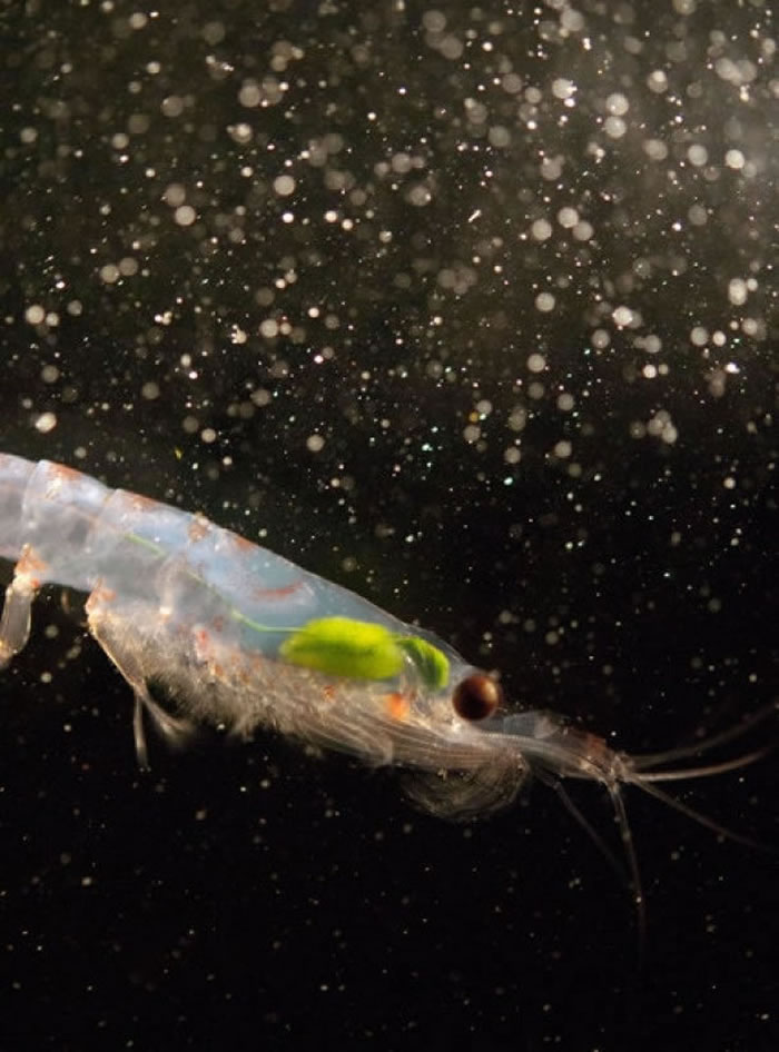 �о���Ա���ź�ˮ�¶���������Ϻ��Ŀ����