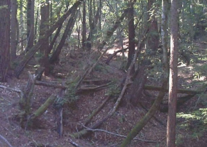 地质运动不时会改变地貌