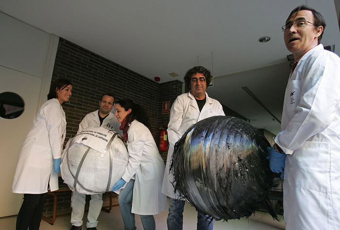 �з�������Щ������������ʽ̫�ջ����Ƭ