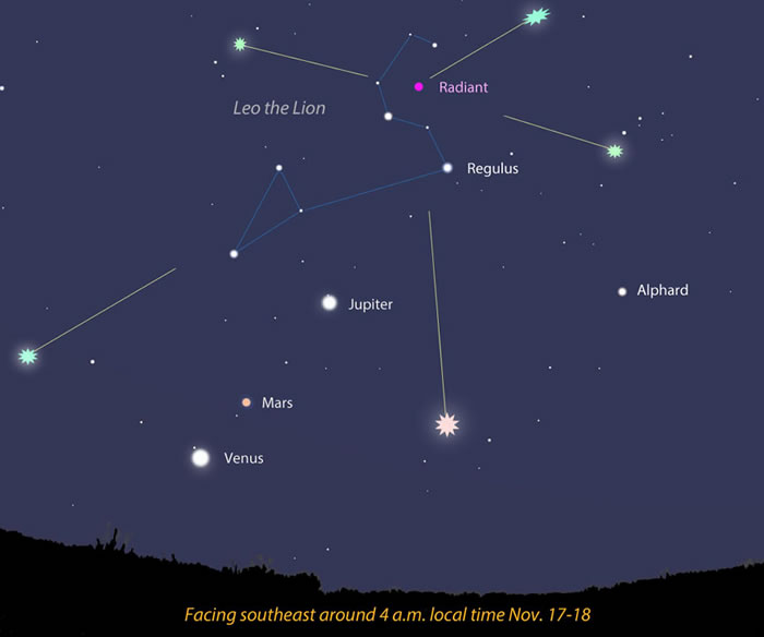 2015��11��18��ʨ���������꼫��