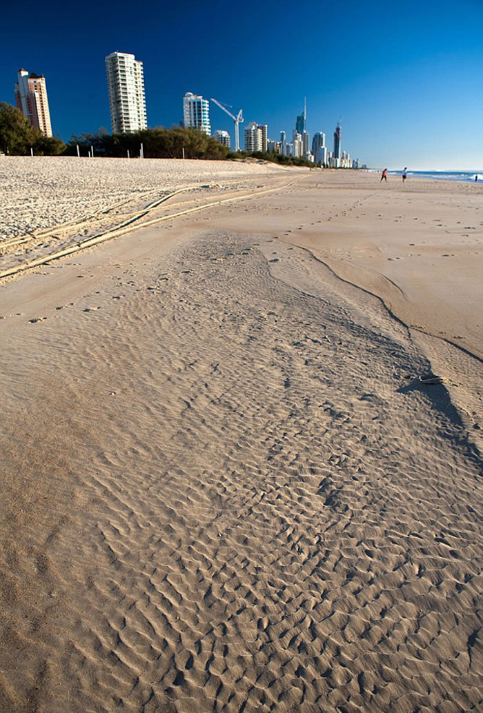 该生物是当地人露辛达·弗瑞在海滩散步时发现的