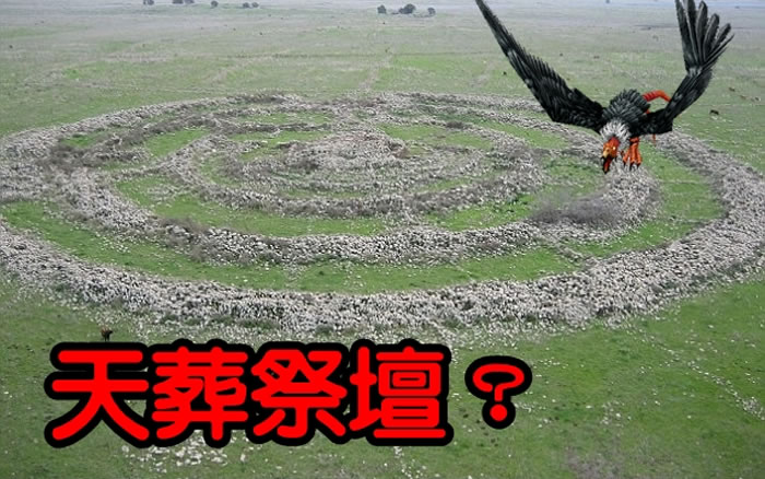 ����֮����5����Ȧ,��������һ����̨��