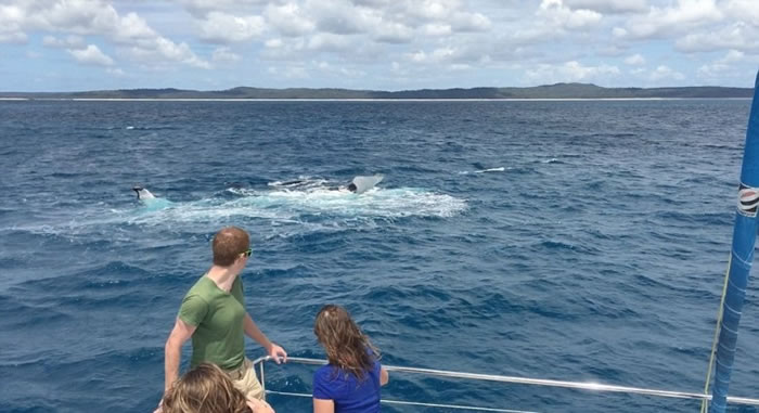 曼蒂见鲸鱼拍浪,即时请人帮两人拍照留念。