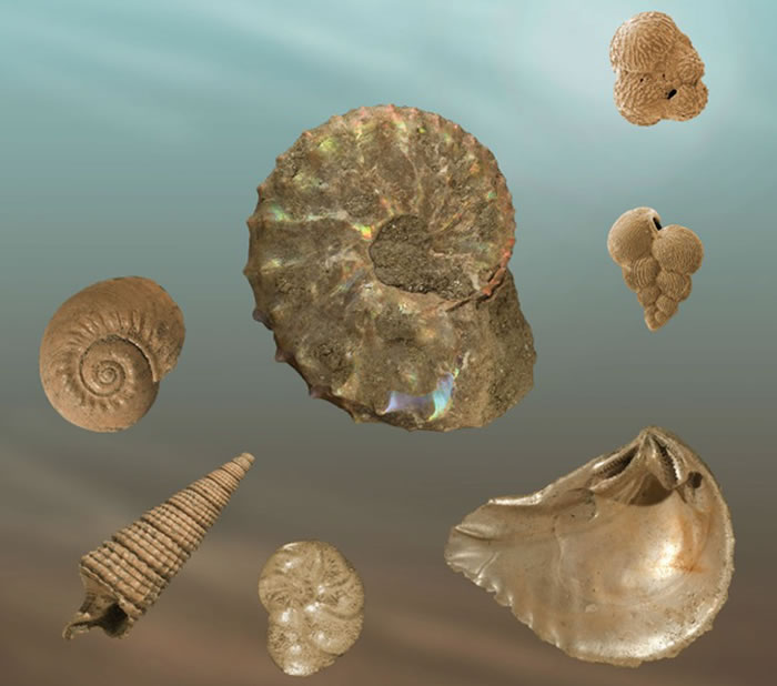 ��ʯ����Ϣ���о����������������ؽ�������