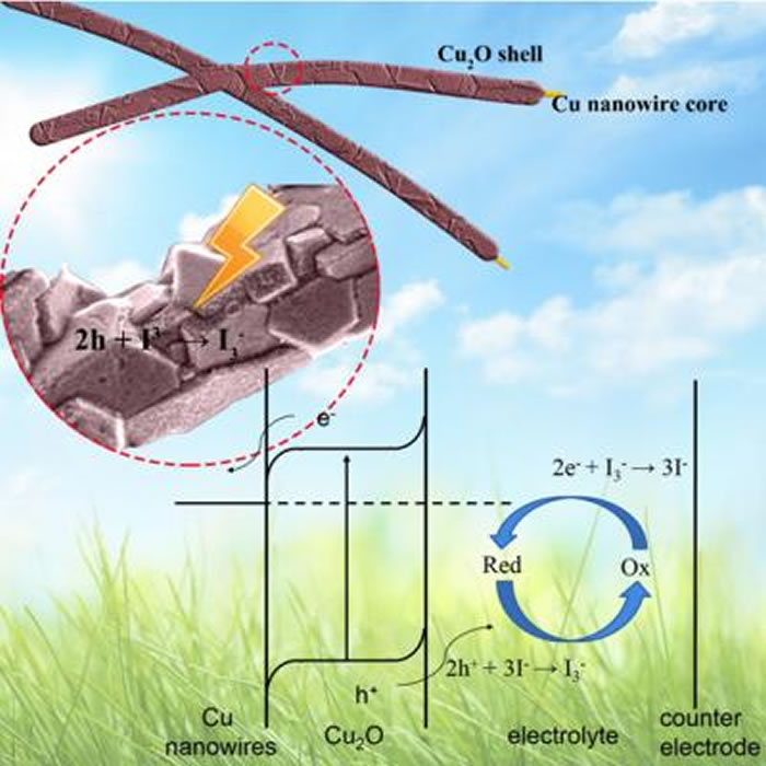 铜纳米线/氧化亚铜半导体-液结太阳能电池结构及工作原理示意图,Cu2O与Cu NWs接触时其能带会发生如图所示的弯曲,Cu2O中的光生电子会倾向于向Cu NWs