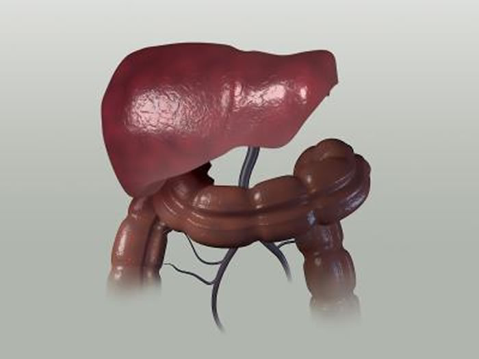 ͸һɱ͸ײĸ༲һµоʾ˱͸ײӱϵͳڸȾġ