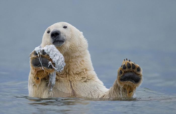 ��������˹�ӱ����ܱ����뾨��ʬ��к���ˣ