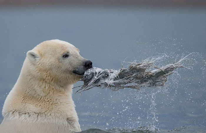 ��������˹�ӱ����ܱ����뾨��ʬ��к���ˣ