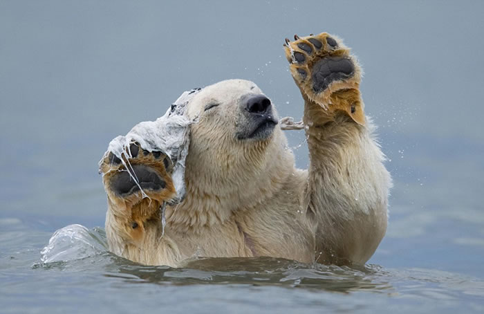 ��������˹�ӱ����ܱ����뾨��ʬ��к���ˣ