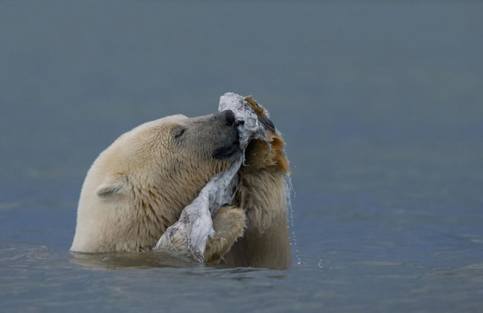 ��������˹�ӱ����ܱ����뾨��ʬ��к���ˣ