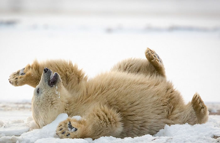 ��������˹�ӱ����ܱ����뾨��ʬ��к���ˣ