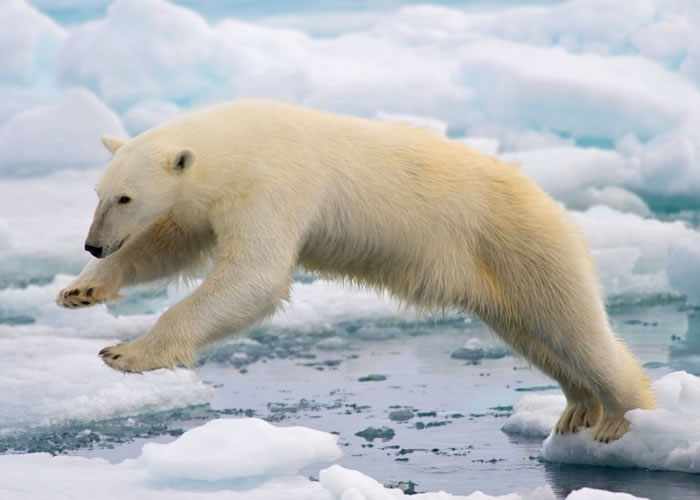 ��������Ϣ�ĸ�����������