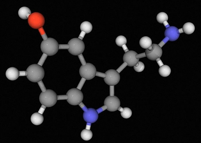 ��ѧ��ָ�����Ʒ�����������е�Ѫ��������2B�йأ�ͼΪѪ����ʾ��ͼ��