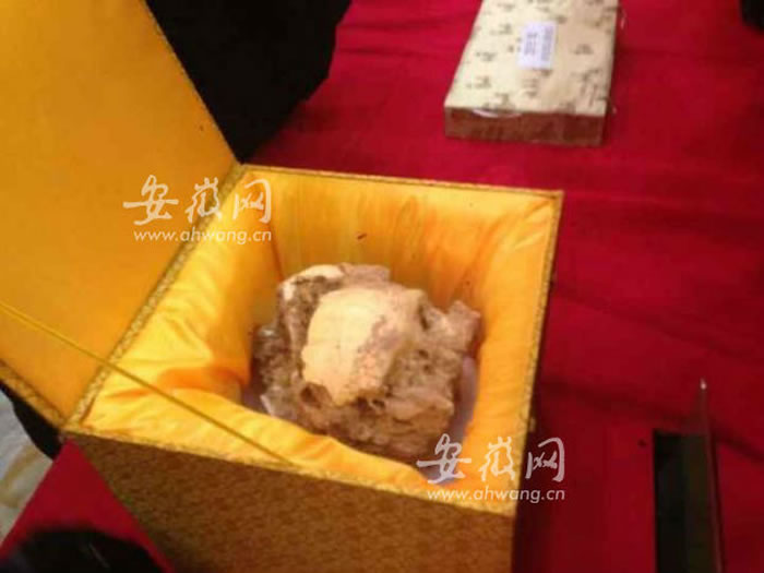 安徽省东至县华龙洞遗址出土直立人头骨化石