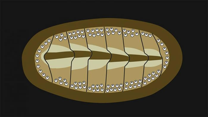 ĳЩ�������嶯���װ������Ѿ��ݻ����۾�