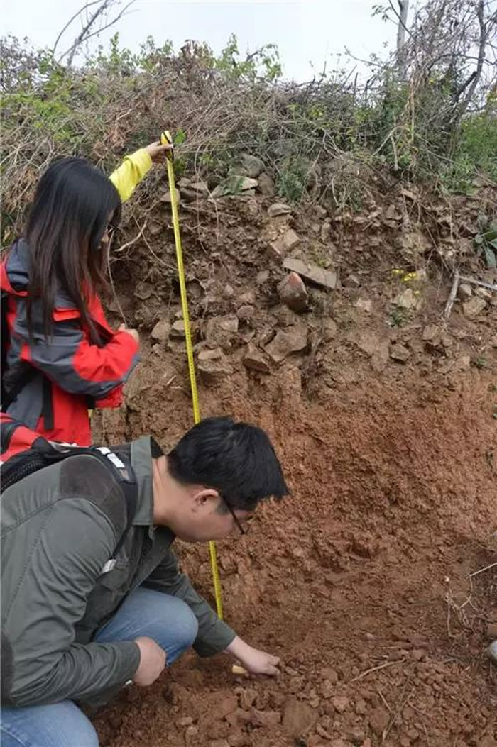 杨庄西山地点剖面观察与测量