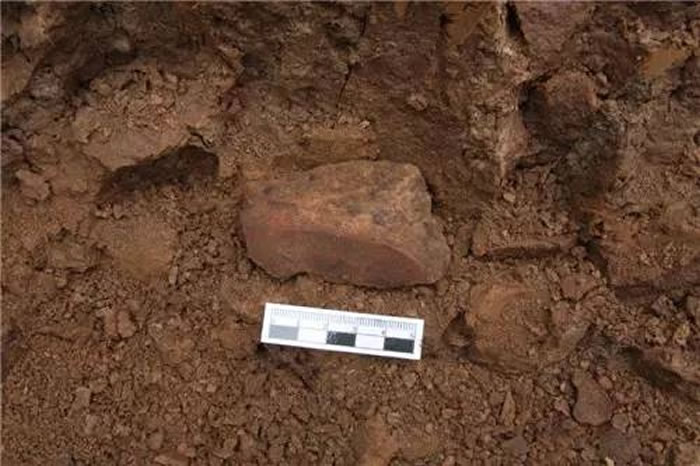 杨庄西山地点采集的人工制品