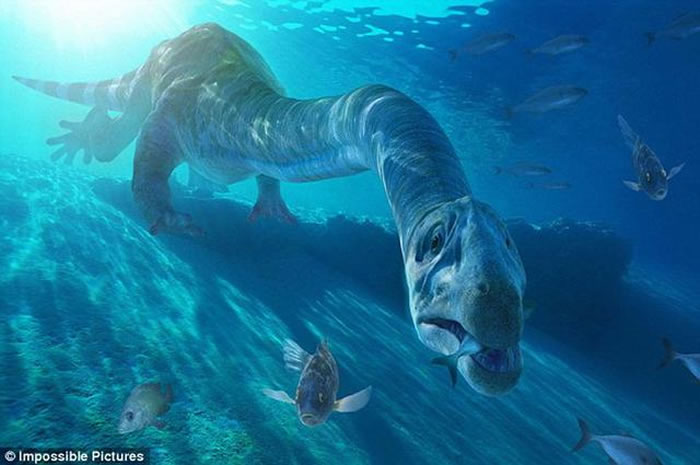 ѧоʾԶʱں΢ԪغȻ½º̬ϵͳ߽⣬γȫִ¼