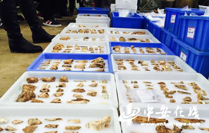 �ֳ�������Ա������������Ż�ʯ