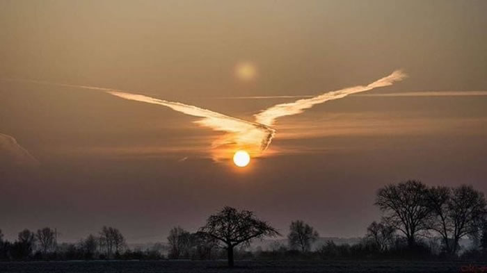 德国天空惊现“不死鸟”云彩