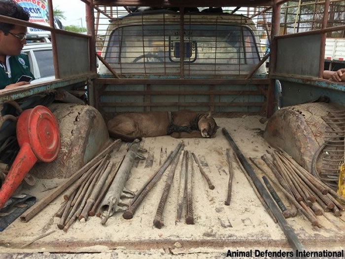 这就是木法沙平常生活的地方,脏乱不堪。