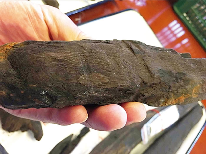 云南江川甘棠箐旧石器遗址发现木制品 国内首次发现