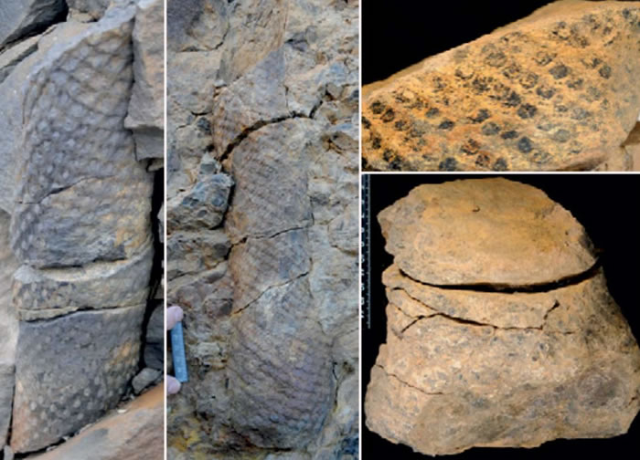 Ų˹߶ȺϷ3.8ǰʷǰɭֻʯ