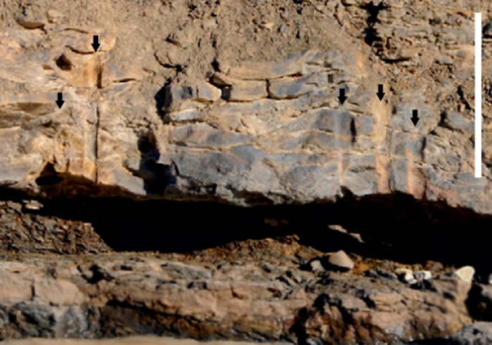 Ų˹߶ȺϷ3.8ǰʷǰɭֻʯ