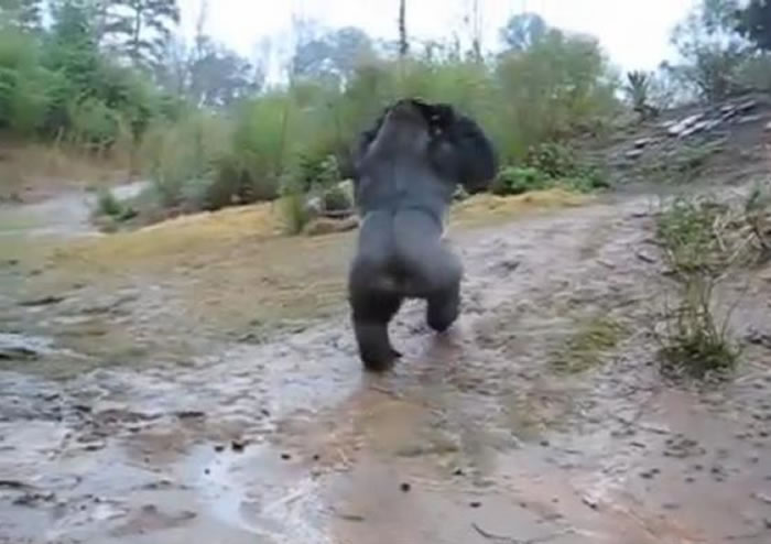 �����Ͽ��������ݶ���԰������Kimya�������ֻ�ͷ����ʪ