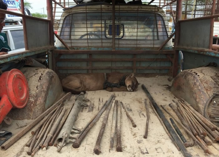 穆法沙和马戏团使用的道具、铁棍一起待在肮脏的卡车车厢内。