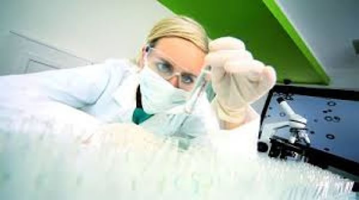 试管胚胎技术,或有助拯救白犀牛。