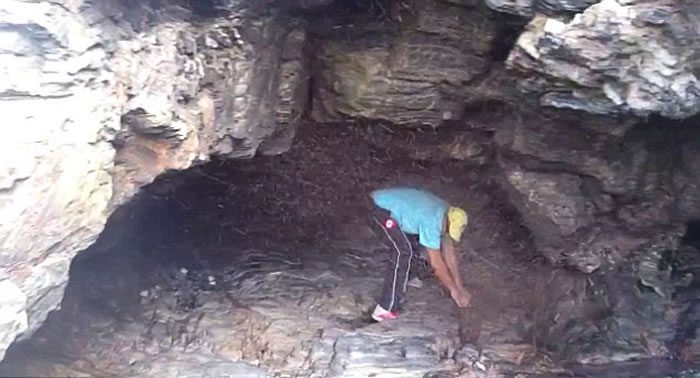 �Ĵ��������ӱ��������ڶ�Ѩ ǧ��ֻ�����γ� ����ǽ�������ڶ�ס