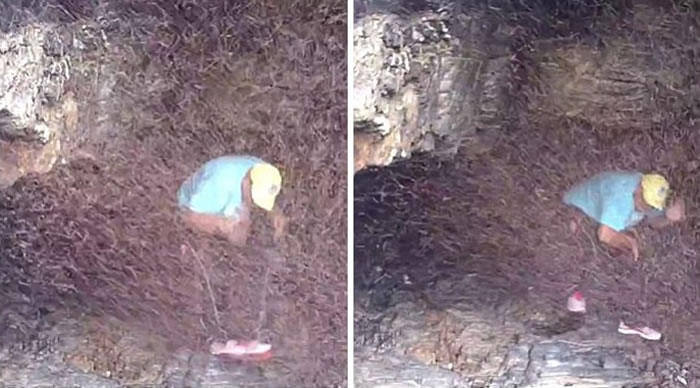 �Ĵ��������ӱ��������ڶ�Ѩ ǧ��ֻ�����γ� ����ǽ�������ڶ�ס