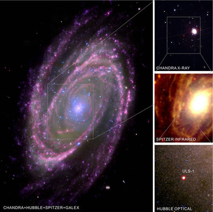 ������ϵM81�еļ�������X����Դλ�á���ͼ��������Hubble�ռ���Զ����GALEX������Զ����Spitzer������Զ����Chandra X������Զ����ͼ���