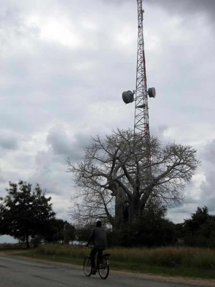 ¬������ƶ��绰�ź���