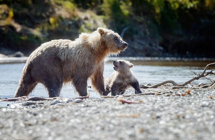 ��������˹���ݿ��������ҹ�԰���ܱ�����������ѧϰ��ʳ