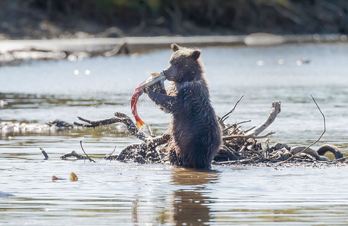 ��������˹���ݿ��������ҹ�԰���ܱ�����������ѧϰ��ʳ