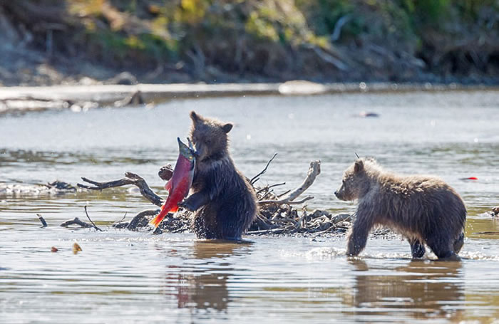 ��������˹���ݿ��������ҹ�԰���ܱ�����������ѧϰ��ʳ