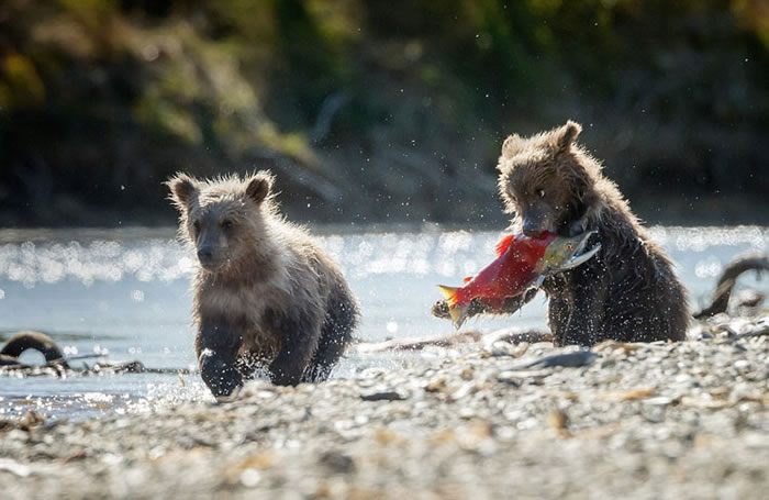 ��������˹���ݿ��������ҹ�԰���ܱ�����������ѧϰ��ʳ