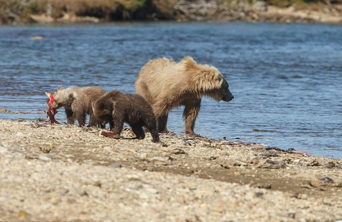 ��������˹���ݿ��������ҹ�԰���ܱ�����������ѧϰ��ʳ