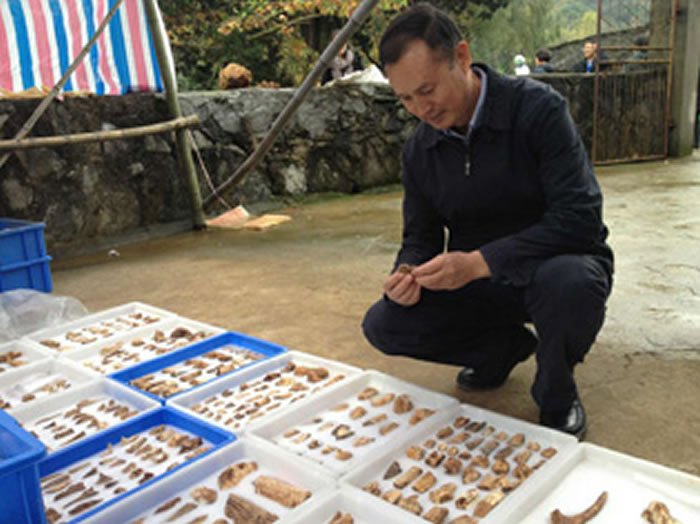 뻪ĿйѧԺż׵͹ооԱַͬũԺĻʯ