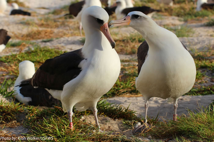 ������ٵ��񡪡�64�������̡��ǻۡ��ص�����������;��