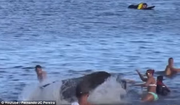 С̲Ⱥ͹ţˮжǶµ׳۳