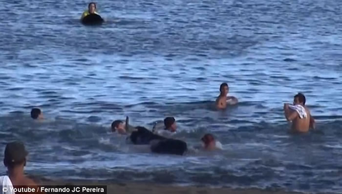 С̲Ⱥ͹ţˮжǶµ׳۳