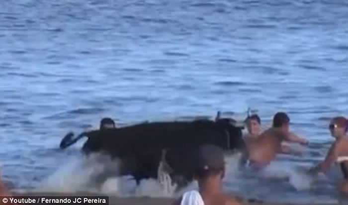 С̲Ⱥ͹ţˮжǶµ׳۳